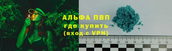 гашик Новодвинск