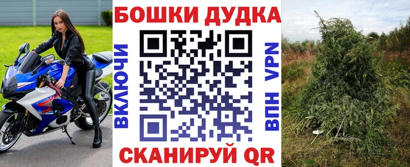 Шишки марихуана Bruce Banner  гидра   Абинск 